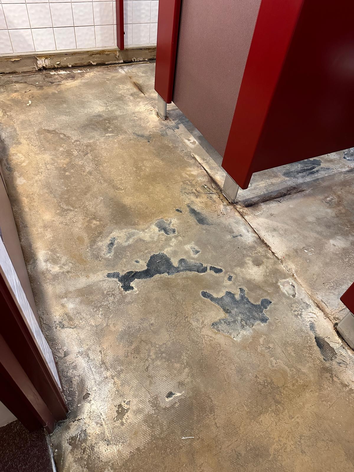 WC Refurbishment in Croydon