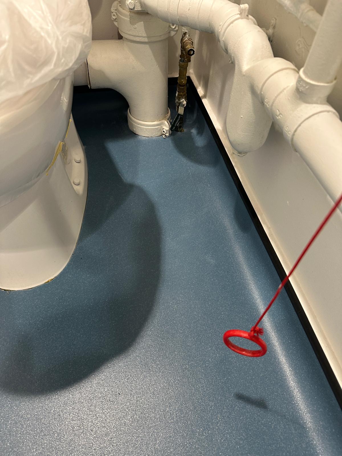 Toilet refurbishment in a UK Goverment building